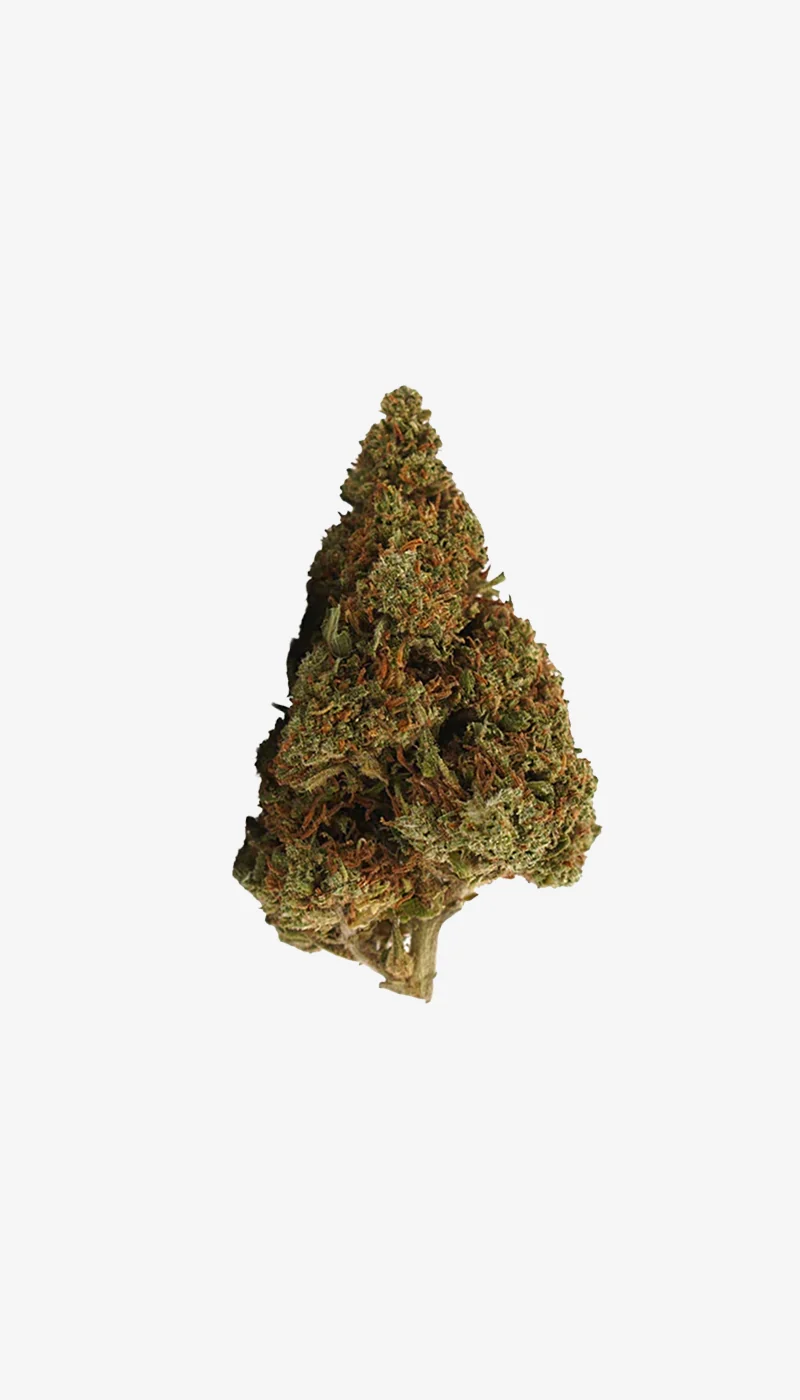 Orange Bud CBD Small Buds