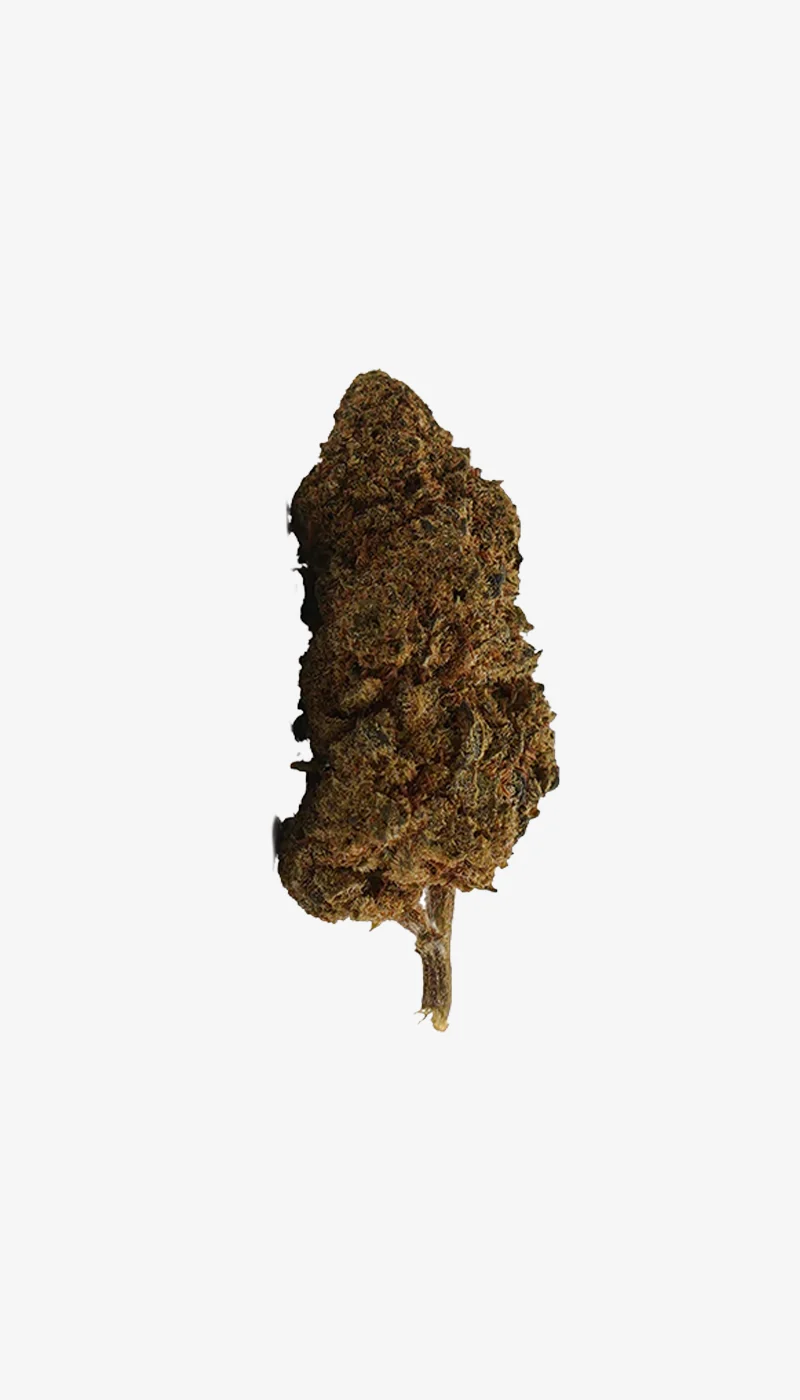 White Widow CBD Small Buds