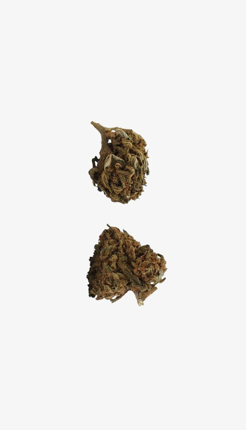 Hawaiian CBD Small Buds