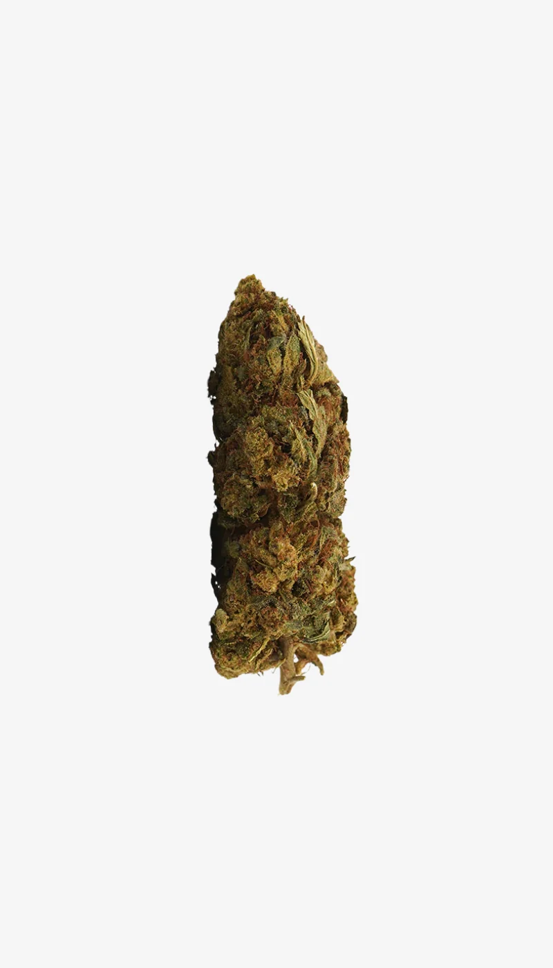 Lemon Haze CBD