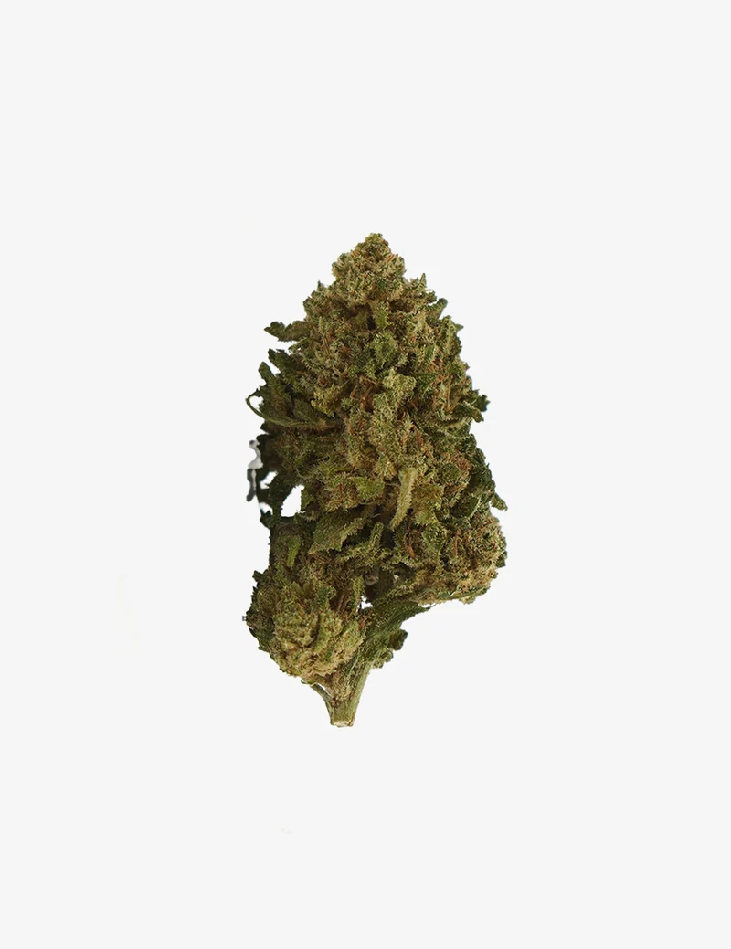 Gelato CBD