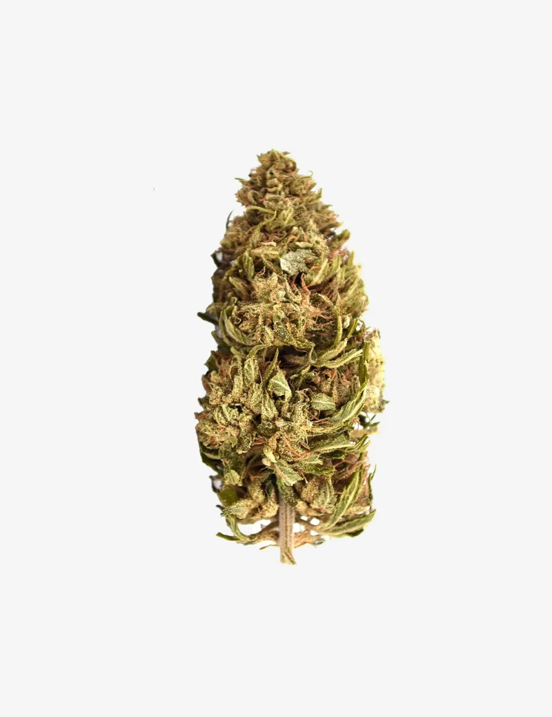 Banana CBG