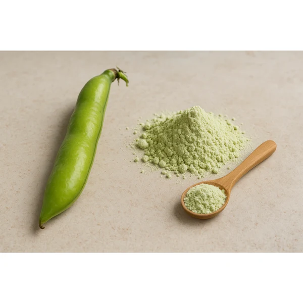 Vegan Protein Bio