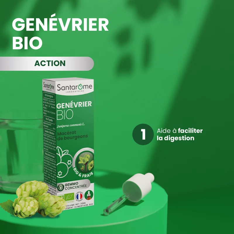 Macérat de Bourgeons - Genévrier Bio