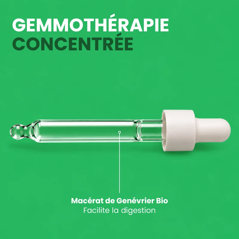 Macérat de Bourgeons - Genévrier Bio
