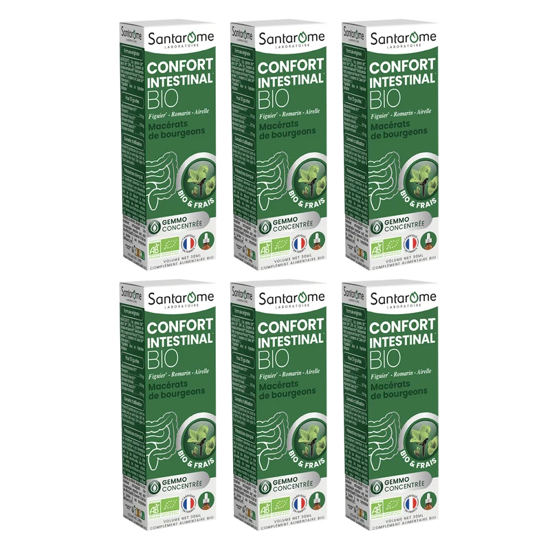Macérat de Bourgeons - Confort Intestinal Bio