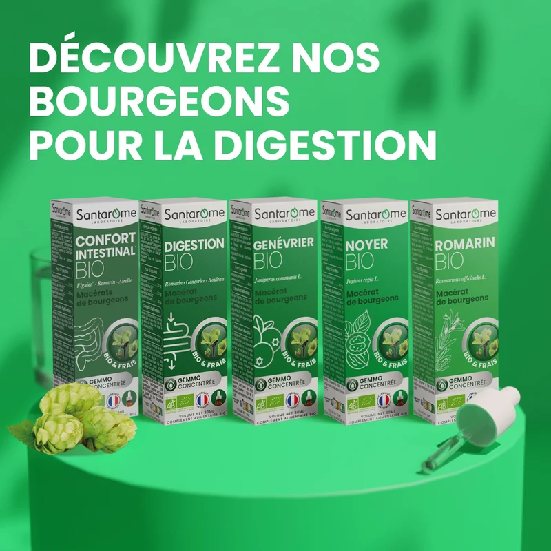 Macérat de Bourgeons - Digestion Bio