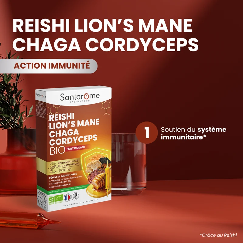 Reishi, Lion’s Mane, Chaga & Cordyceps Bio - 10 ampoules