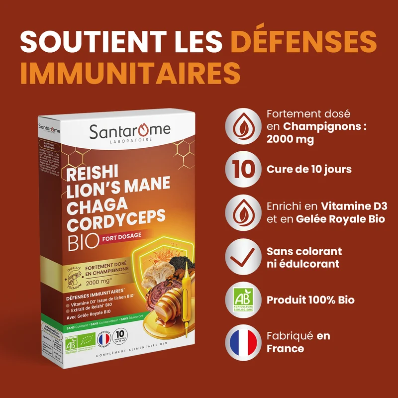 Reishi, Lion’s Mane, Chaga & Cordyceps Bio - 10 ampoules