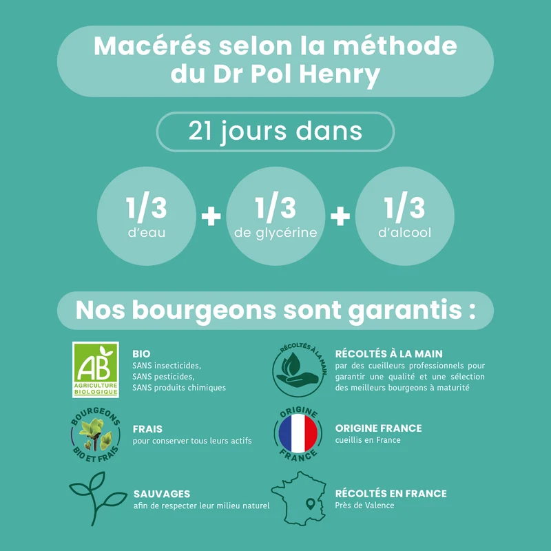 Macérat de Bourgeons - Marronnier Bio