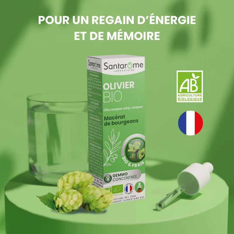 Pack Énergie & Mémoire