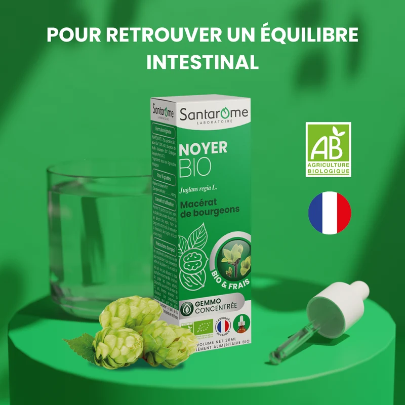Macérat de Bourgeons - Noyer Bio