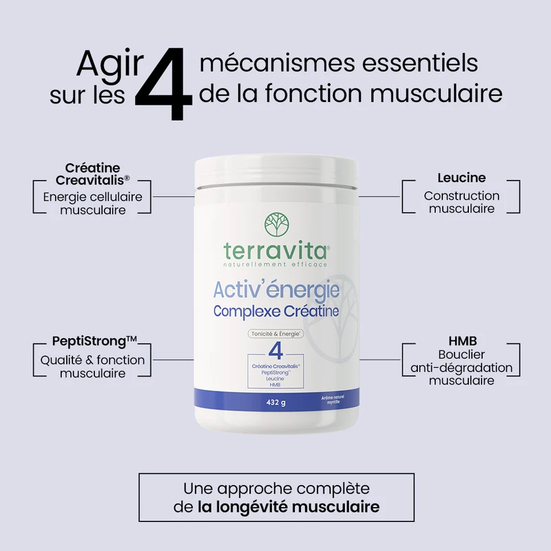 Activ'énergie Complexe Créatine