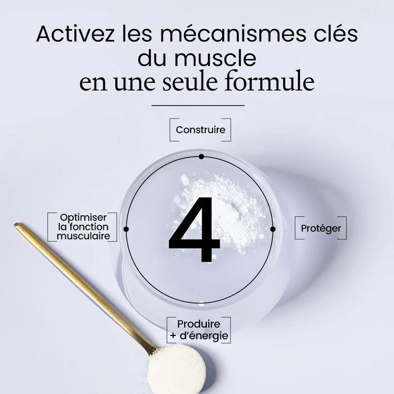 Activ'énergie Complexe Créatine