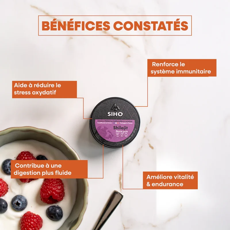 Shilajit résine pure 100% SIHO