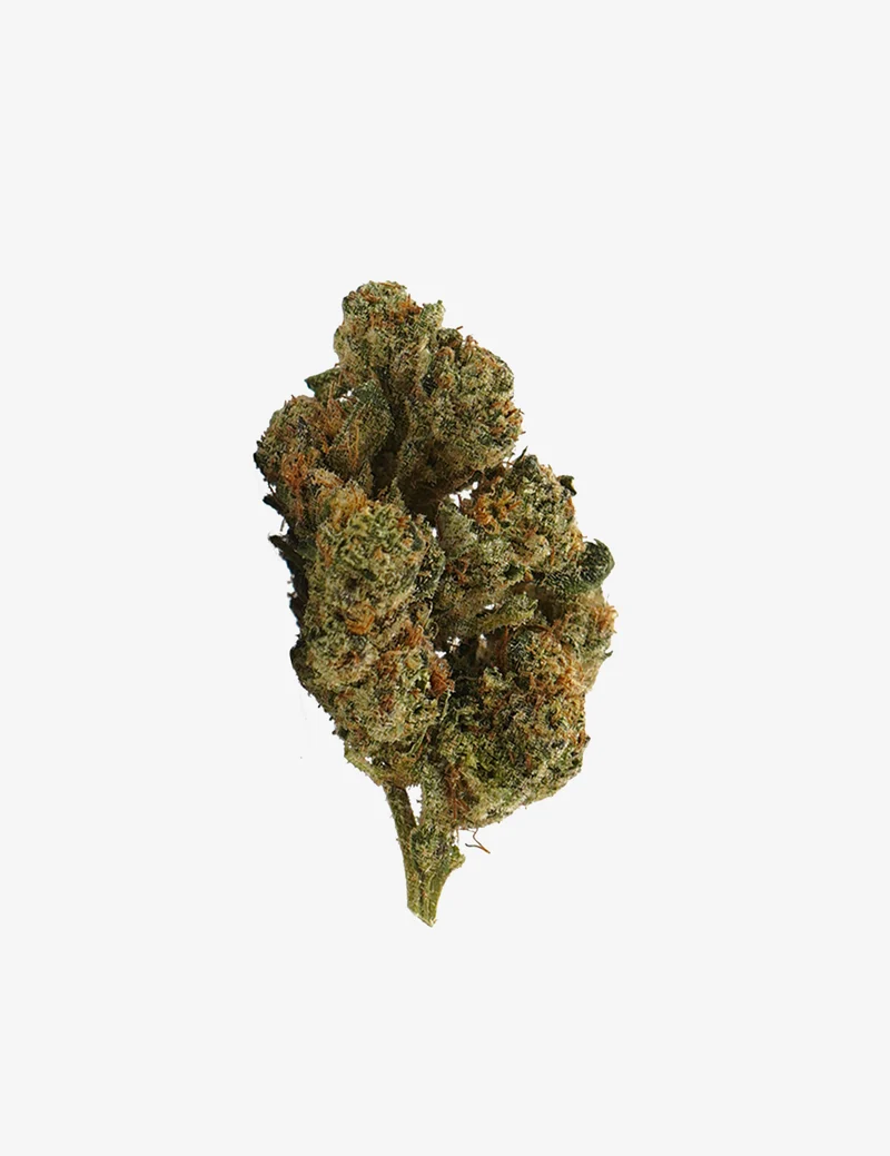 Plutonium CBD