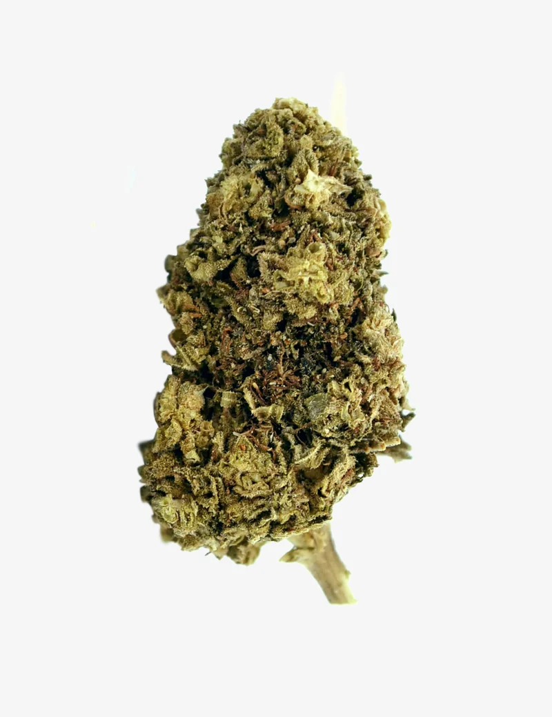 Northern Lights CBD