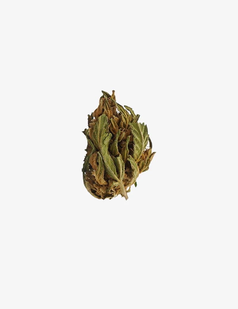 Wedding Cake CBD Small Buds