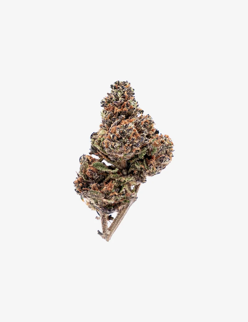 Purple Haze CBD Small Buds