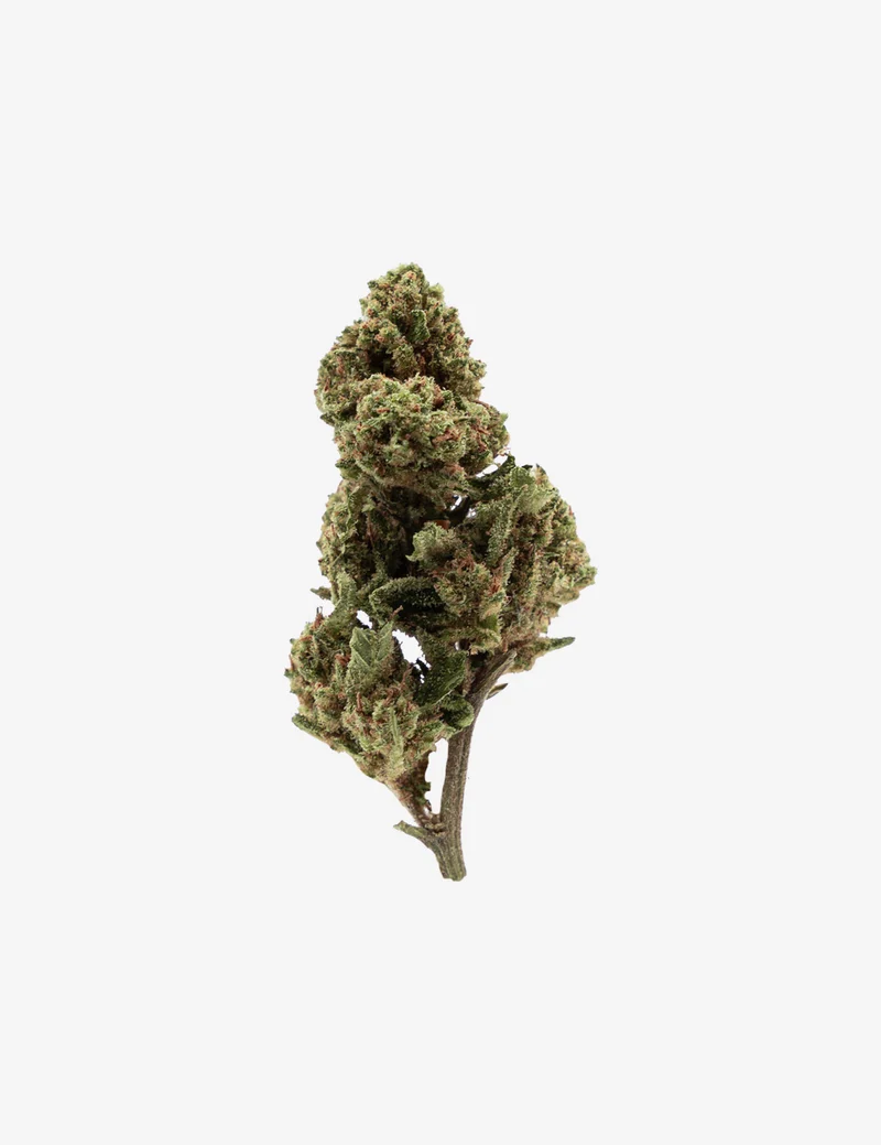 Cherry Wine