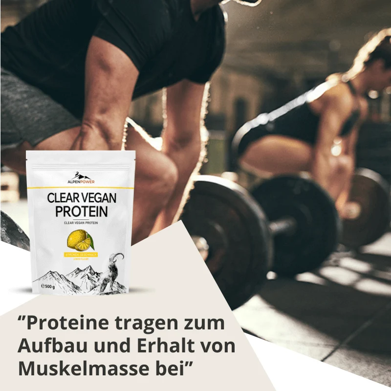 Clear Vegan Protein 500 g