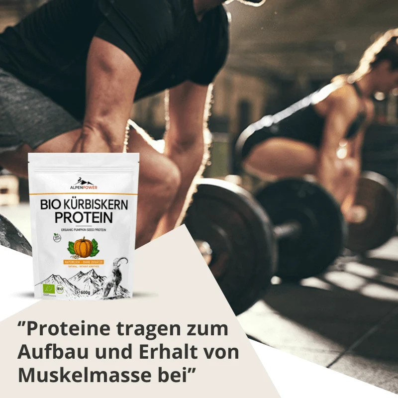 Protéine de pépins de courge BIO 600 g