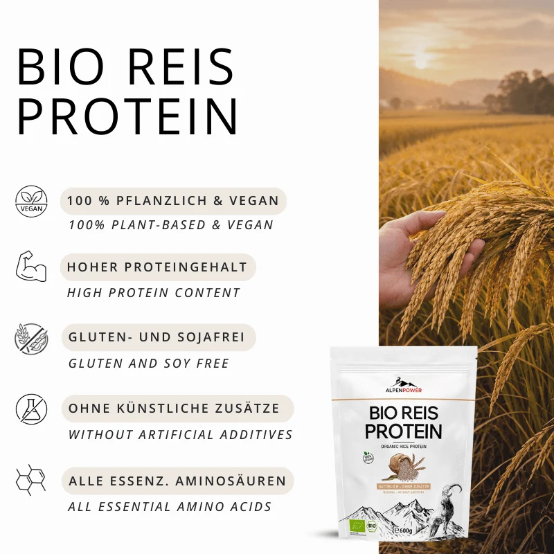 Protéine de riz BIO 600 g