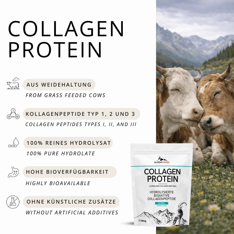 Hydrolysat de protéines de collagène 500 g