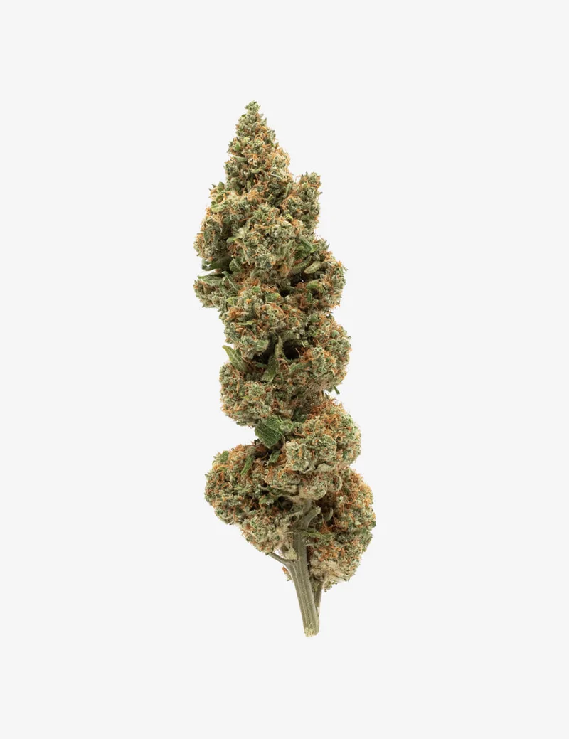 Lemon Pie CBD