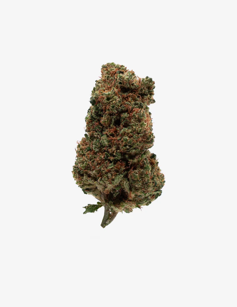 Orange Bud CBD