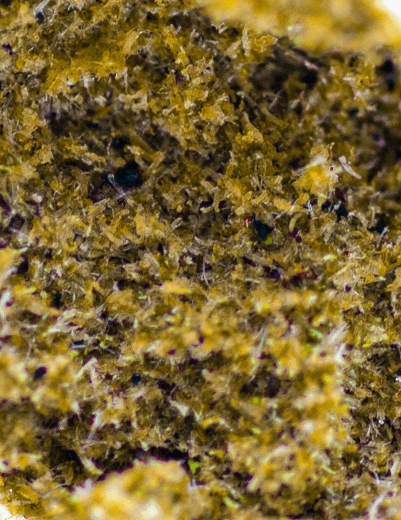Amnesia Dry Sift CBD