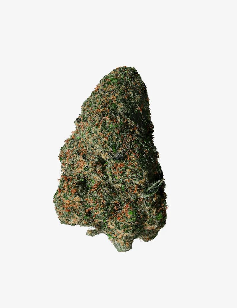 Mr Jack Herer RAF Delta
