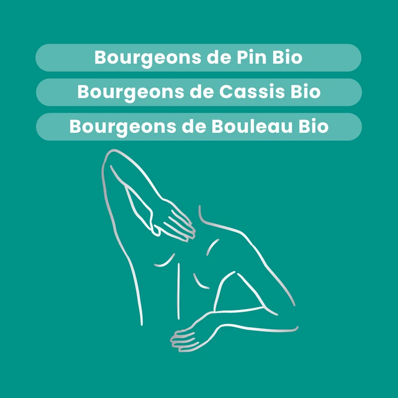 Macérat de Bourgeons - Confort Articulaire Bio