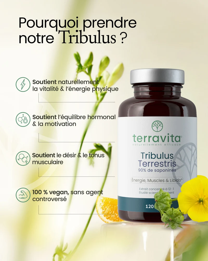 Tribulus