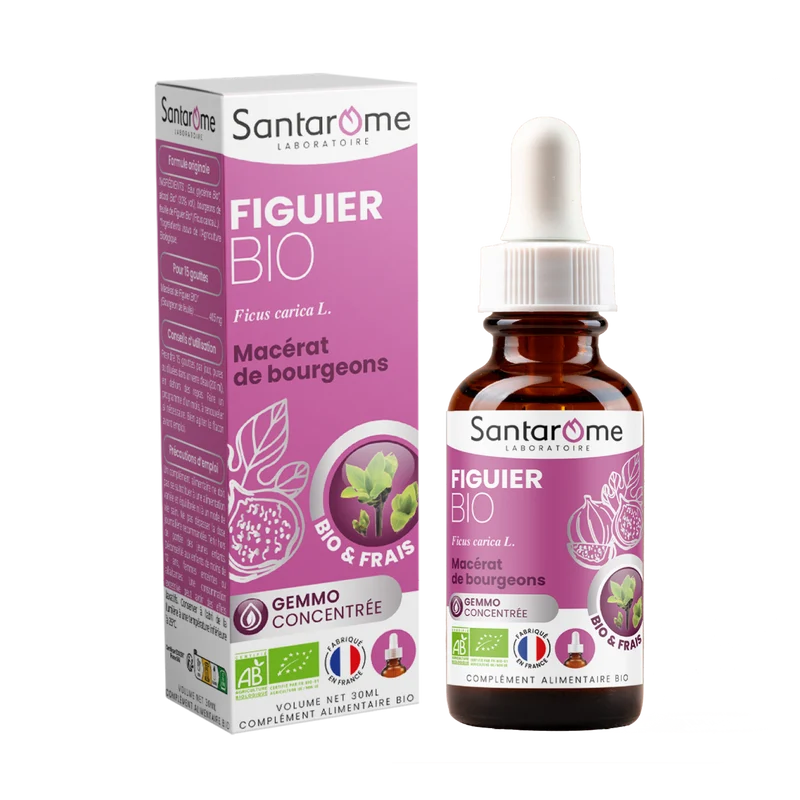 Macérat de Bourgeons - Figuier Bio