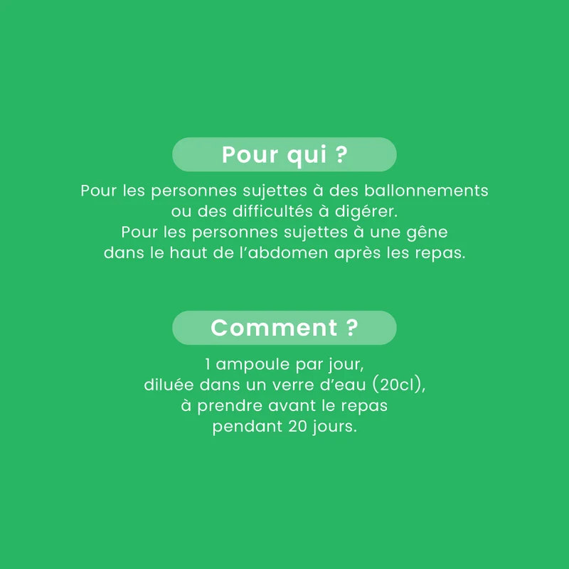 Radis Noir Bio - 20 ampoules