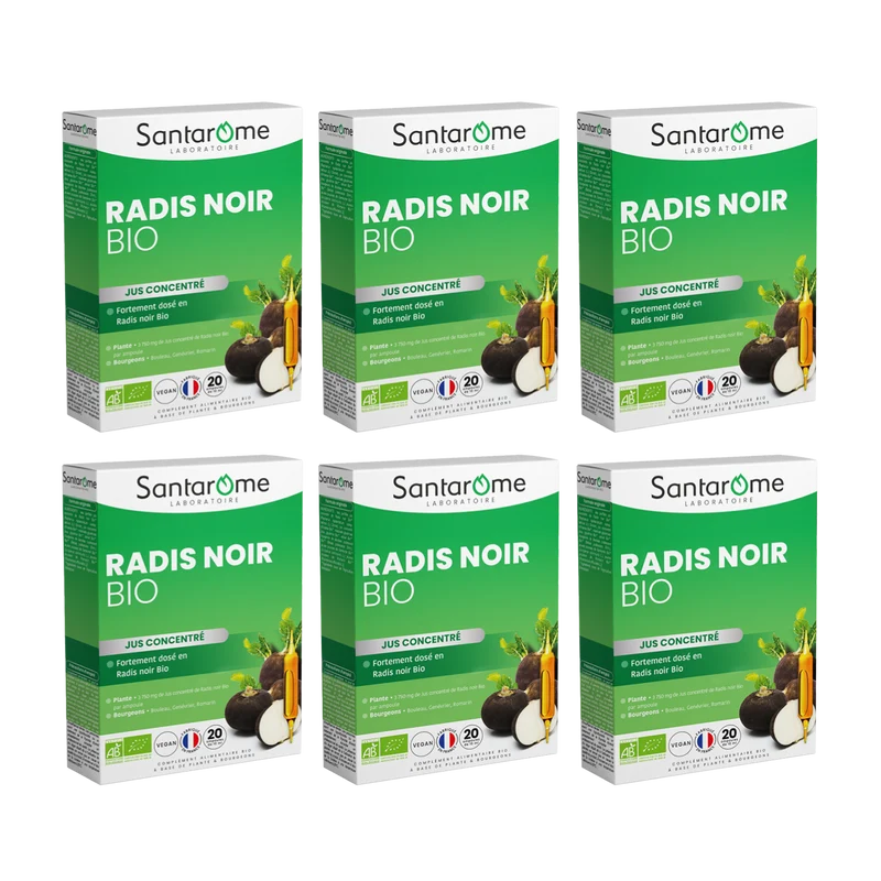 Radis Noir Bio - 20 ampoules
