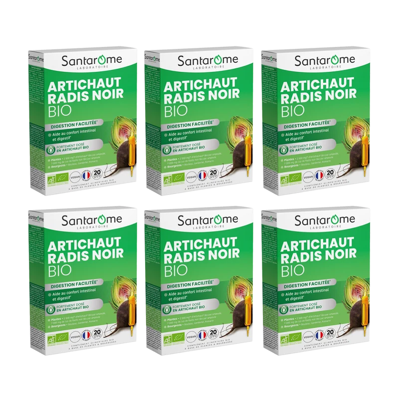 Artichaut Bio Radis Noir Bio - 20 ampoules