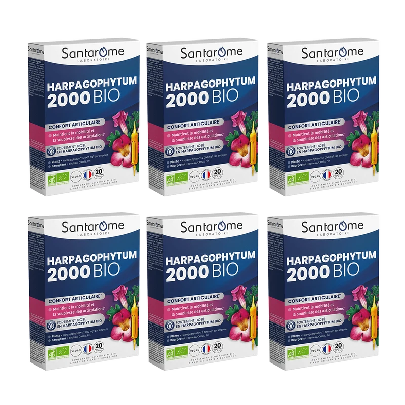 Harpagophytum Bio 2000 - 20 ampoules