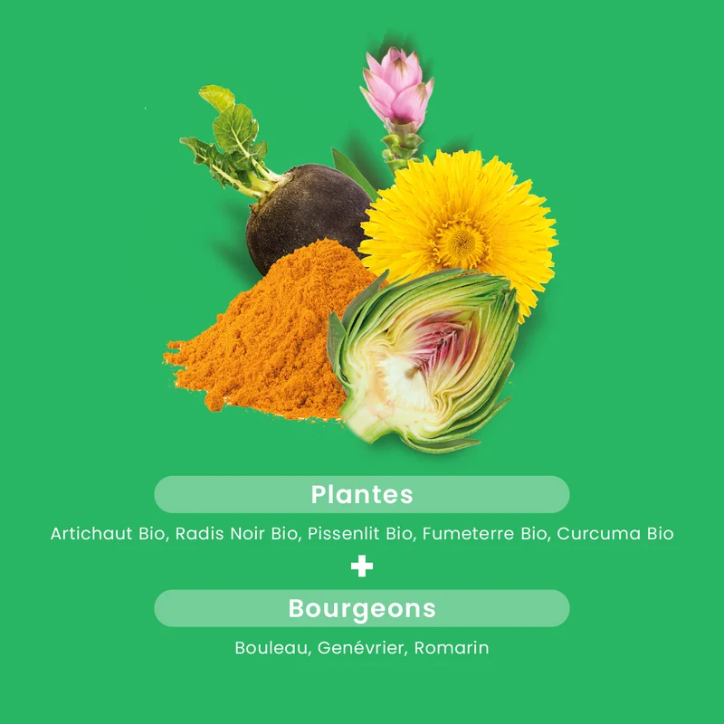 Bien-Être du Foie Bio - Hépatonic - 20 ampoules