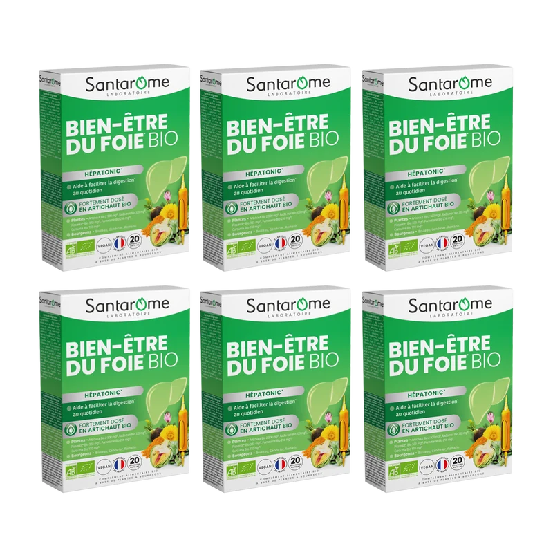 Bien-Être du Foie Bio - Hépatonic - 20 ampoules