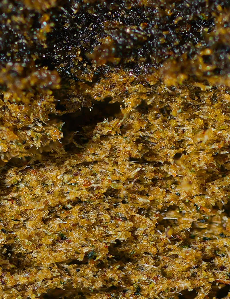 Super Filtré RAF Delta