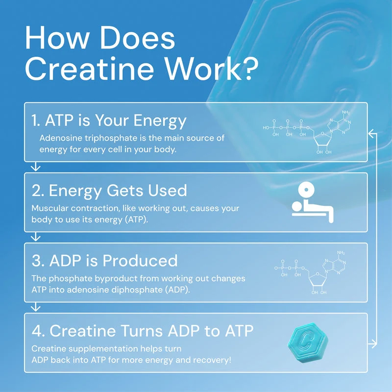 Core - Creatine Monohydrate Gummies - 1.5g per Gummy