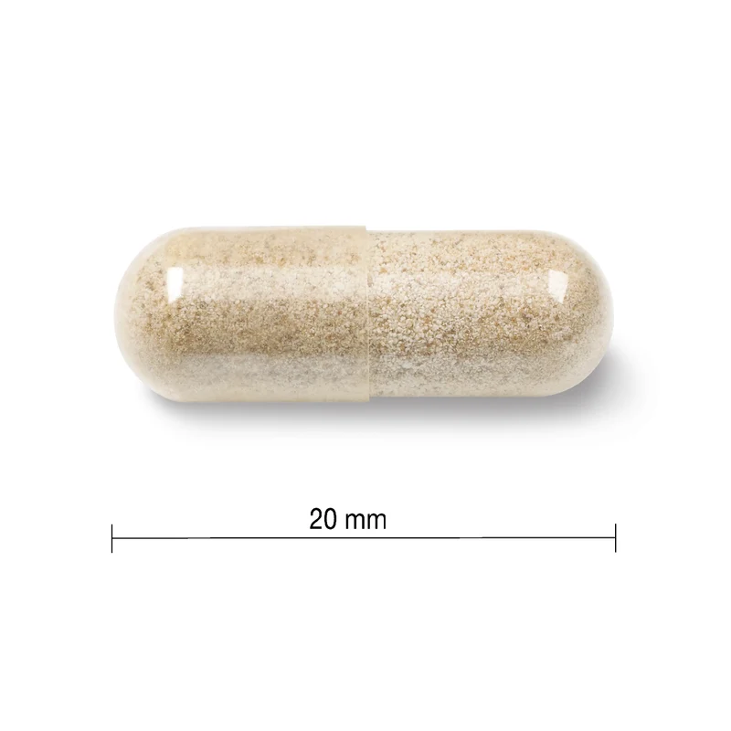 Jamieson - Gentle Iron 28 mg | 150 Vegetarian Capsules