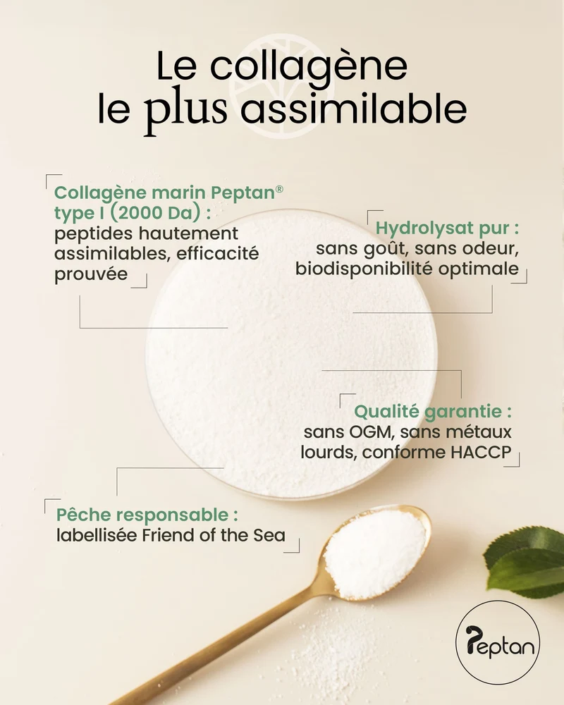 Collagène marin