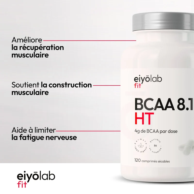 BCAA 8.1.1 HT