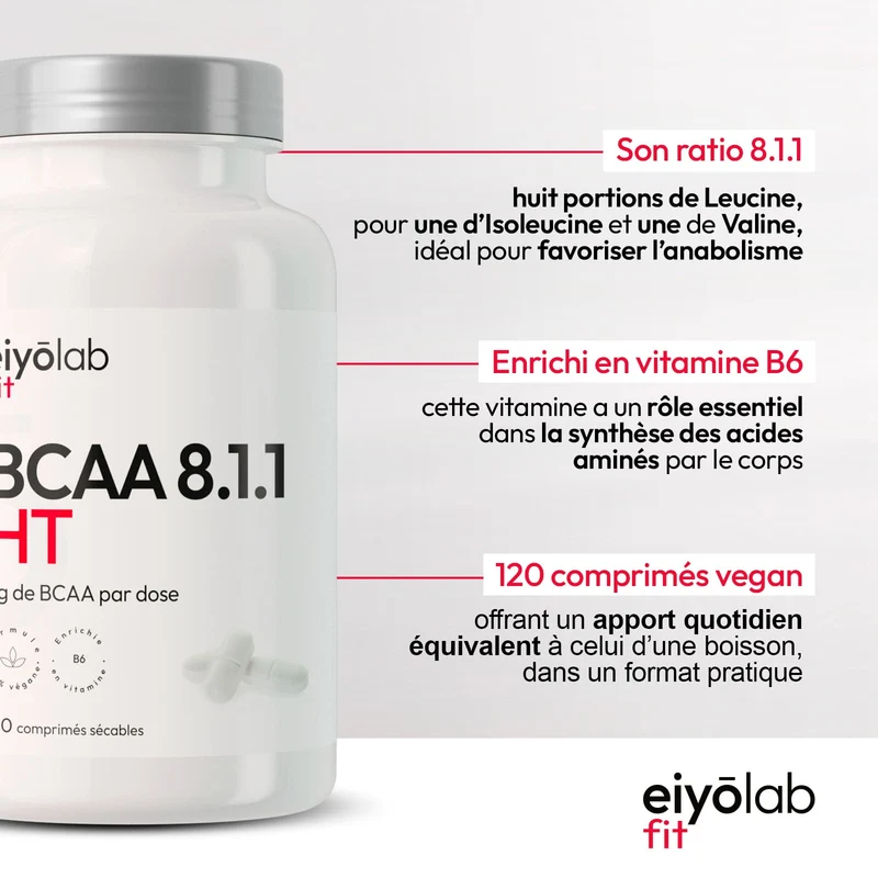 BCAA 8.1.1 HT
