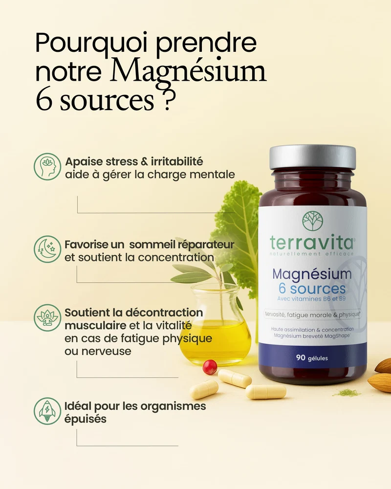 Magnésium 6 sources