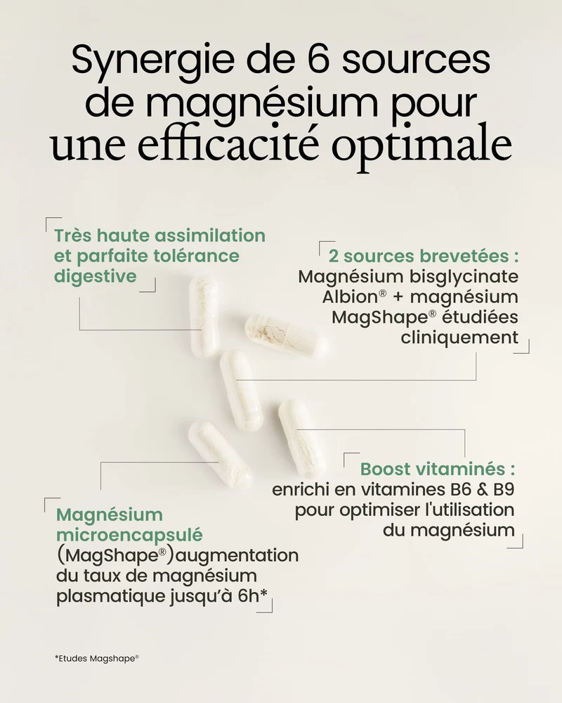 Magnésium 6 sources