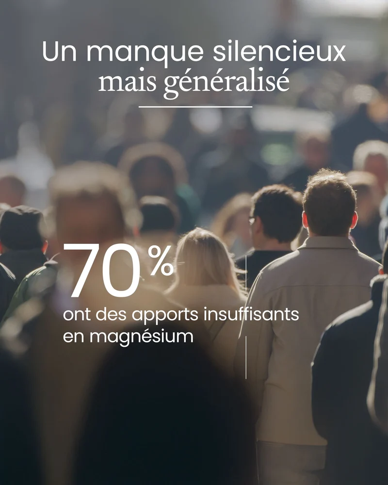 Magnésium 6 sources